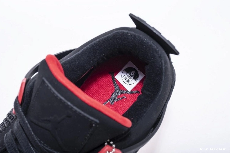 Jordan AQ3816-056 4 Air Raptors 0104